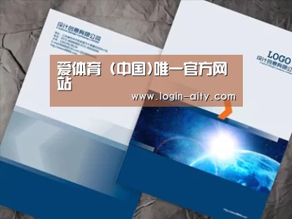 项目名称十