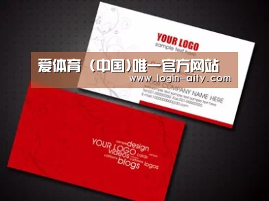 项目名称一