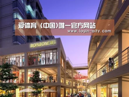 案例展示一
